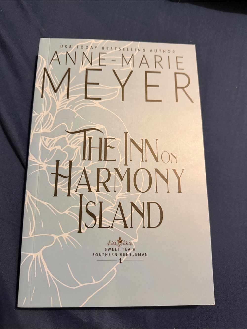A.N. Marie Meyer The Inn on Harmony Island Paperback Novel in Blue & Cream Like